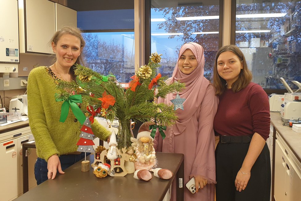 © Diana Mechtcheriakova