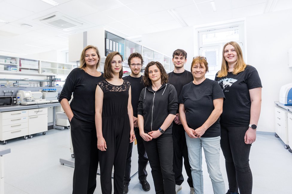 © Peter Provaznik © Peter Provaznik