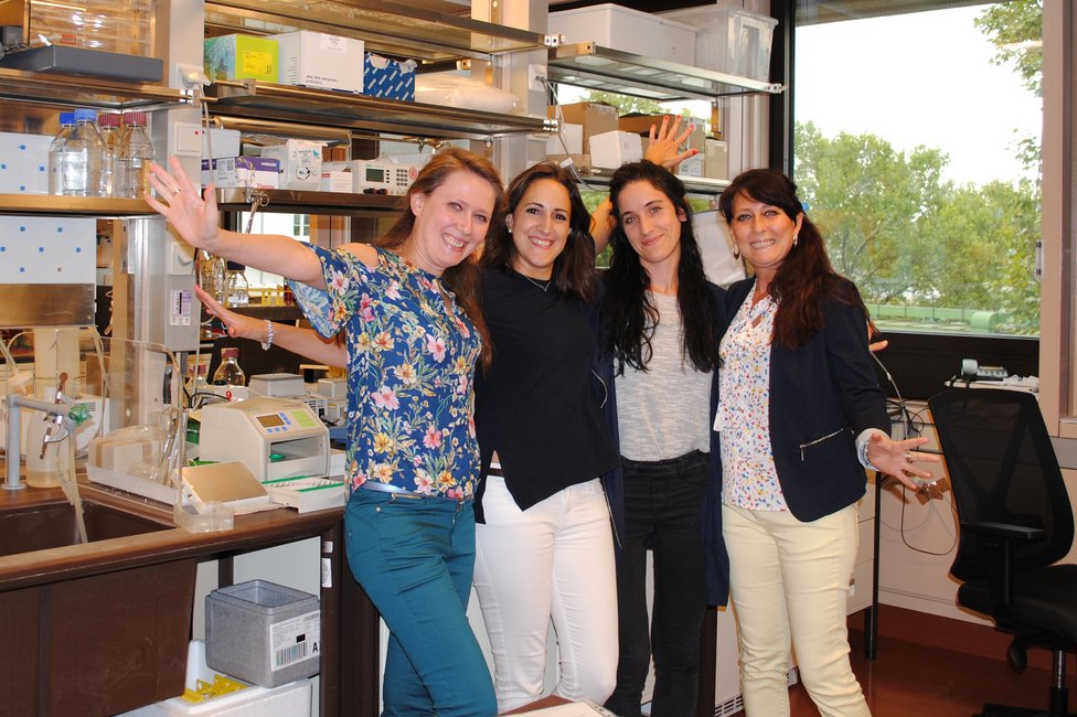 © Diana Mechtcheriakova