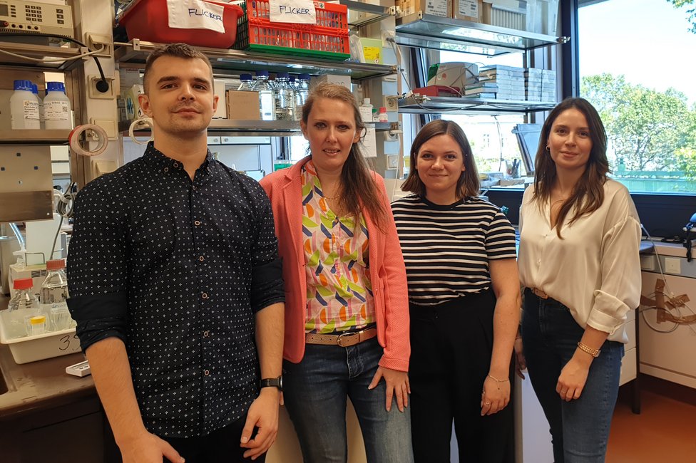 © Diana Mechtcheriakova