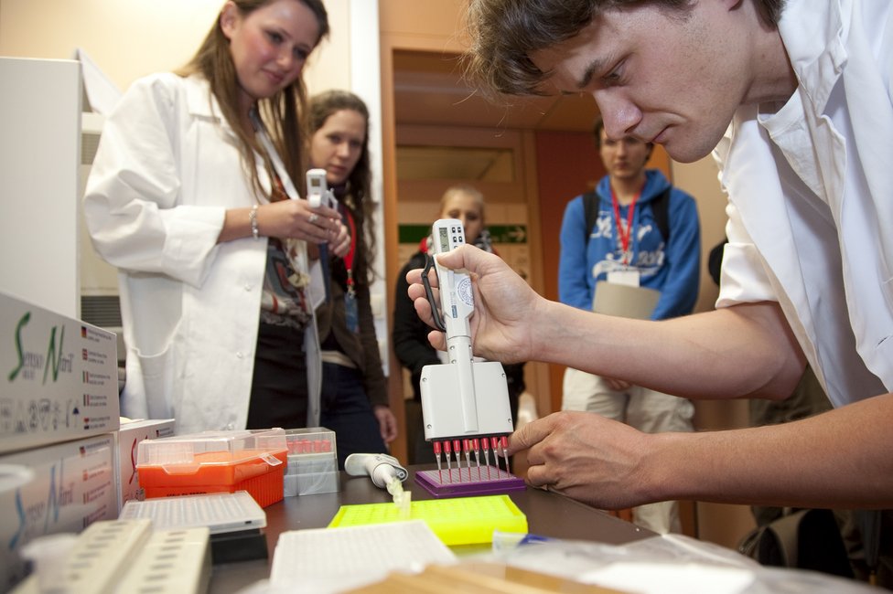 © Diana Mechtcheriakova