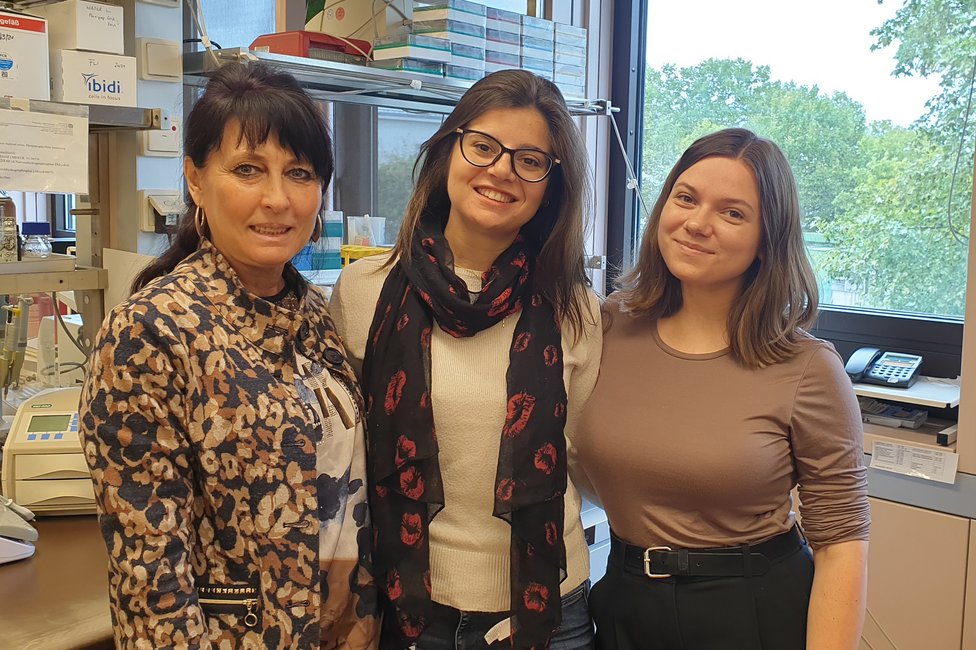 © Diana Mechtcheriakova