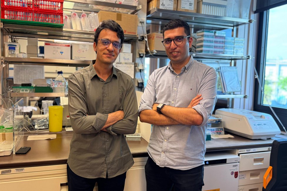 © Diana Mechtcheriakova