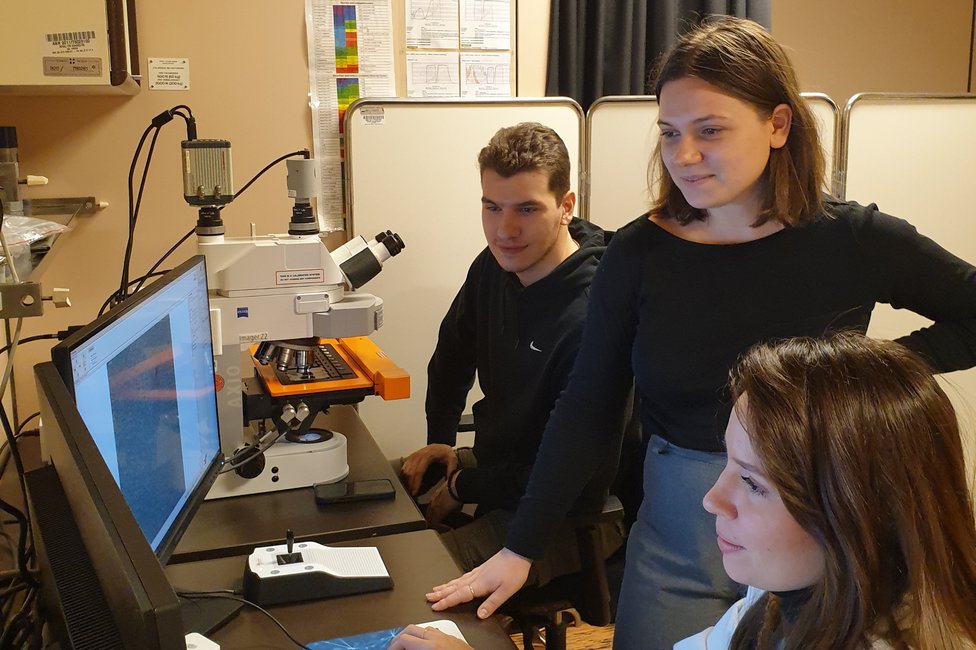 © Diana Mechtcheriakova